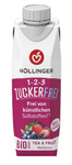 Bosvruchtendrank zonder suiker bio 300 ml - HOLLINGER