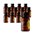 SET VAN 12 x Kombucha BIO Probiotische Detox Shot 100ml