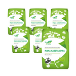 SET VAN 6 x Glutenvrij kastanjemeel BIO 400 g