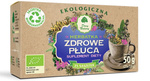 Voedingssupplement Gezonde Longthee Biologisch 50 g (25 x 2 g) - Dar Natury