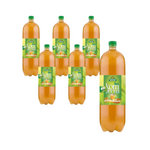 SET VAN 6 x Kombucha groene thee BIO 2 l