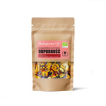 Vruchtentopping voor muesli en desserts, voor de weerstand, Biologisch 20 g – Dary Natury