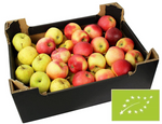 Sap appels vers BIO Polen - ca. 5 kg