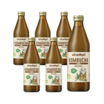 SET VAN 6 x Kombucha BIO 330 ml
