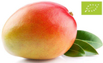 Verse mango BIO (ca. 0,30 kg) 1 st.