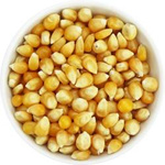 Biologische popcornmaïs (grondstof) (25 kg) 2 – Horeca