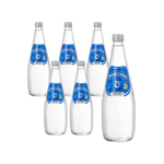 SET VAN 6 x Natuurlijk mineraalwater met hoog CO2-gehalte 0,7 l