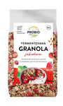 Gefermenteerde aardbeien granola bio 300 g - PROBIO